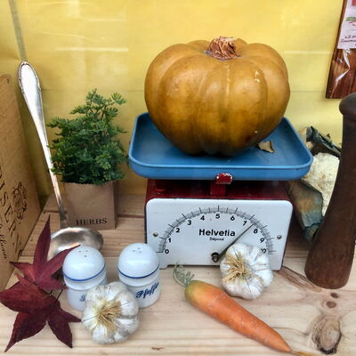Der Herbst ist eingezogen
