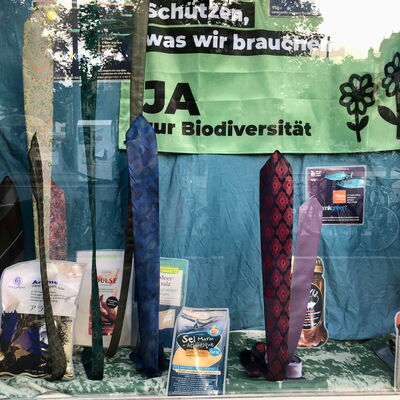 Der Chornlade im Sommer