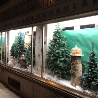 Winterwald mit SchneekugelnWinterwald mit Schneekugeln